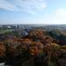 A view of Ann Arbor, including Nichols Arboretum, can be seen from this 11th floor window.  Melanie Maxwell I AnnArbor.com